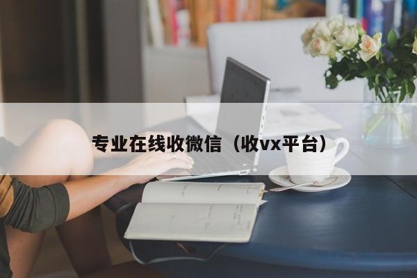 专业在线收微信（收vx平台）